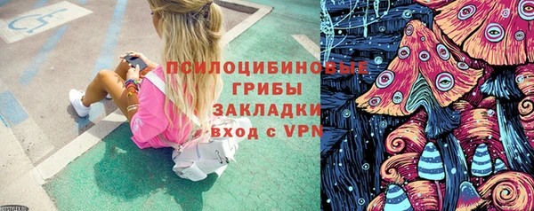 а пвп мука Алзамай
